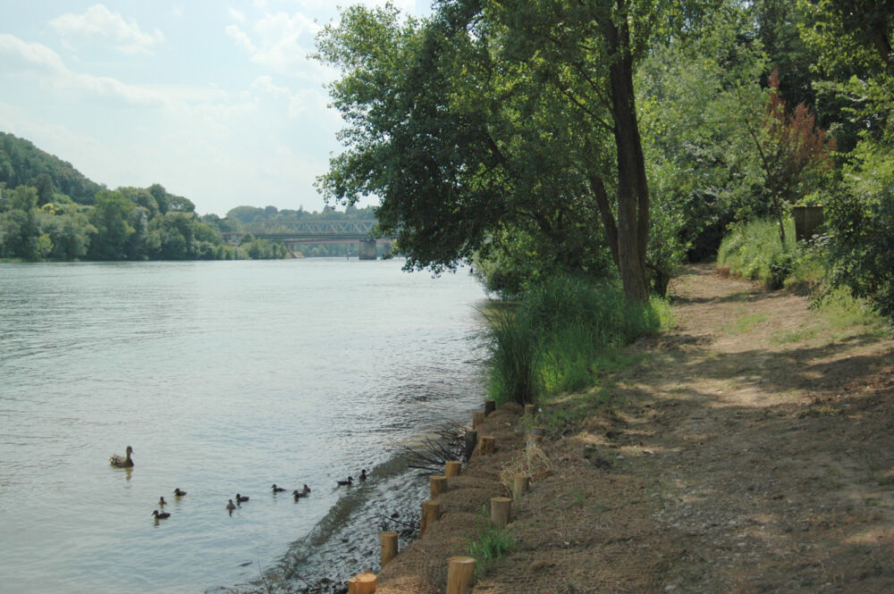 Un espace de verdure près de l'eau pour se détendre et se poser après des randonnées.