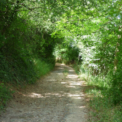 Jardin d'Aquaria avec un chemin en forêt