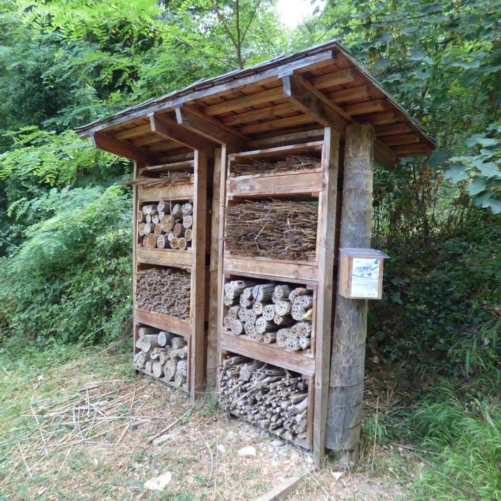 Un lieu de strocage de bois