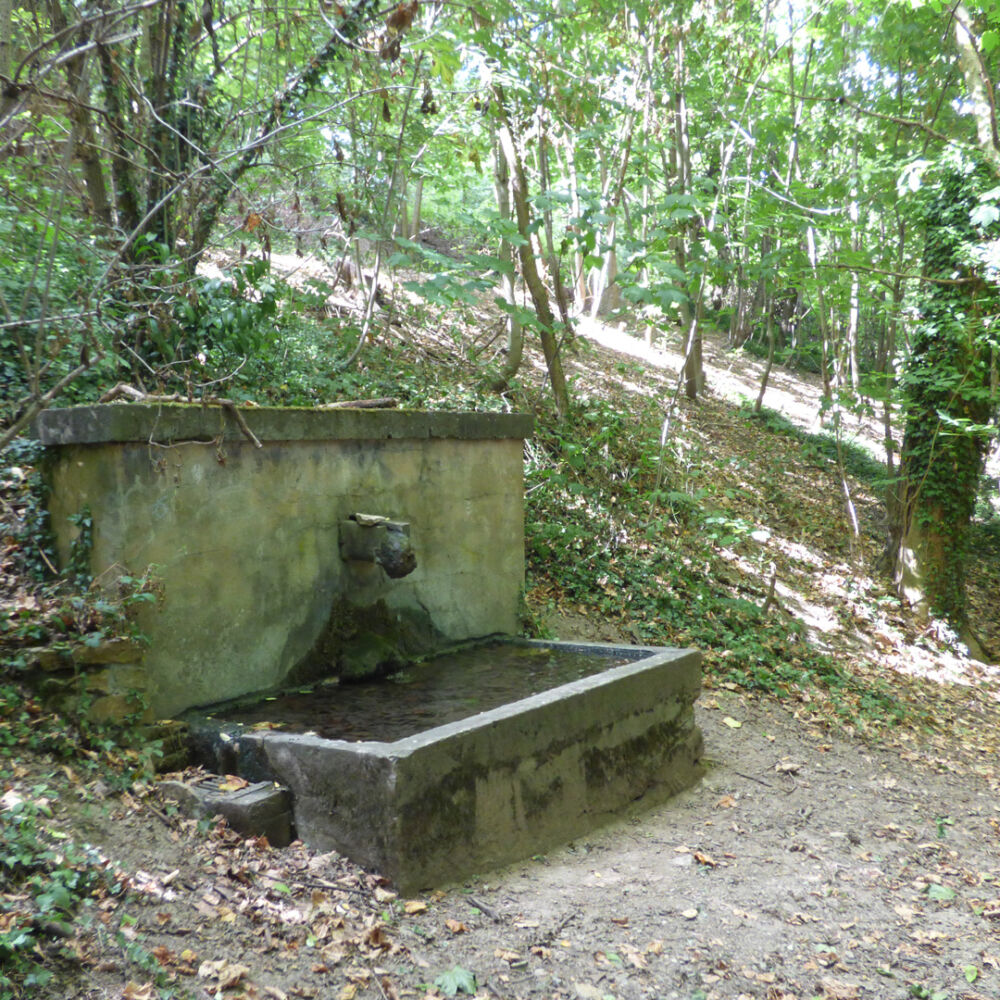 Une source d'eau en pleine forêt pour se désaltérer après des randonnées.