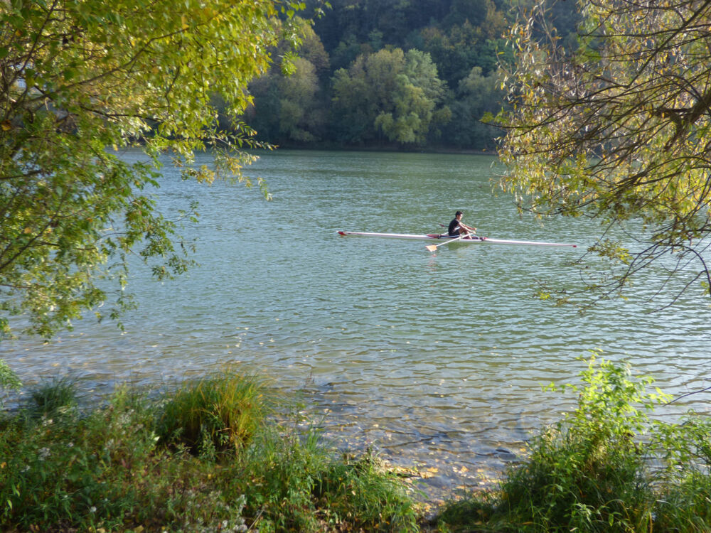 Une photo prise d'un rameur qui fait de l'aviron.