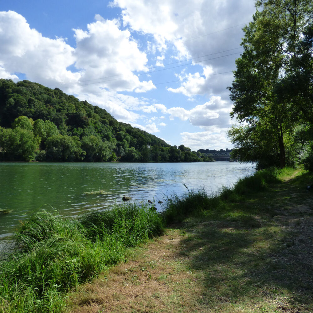 Un espace vert auprès de l'eau pour profiter de la biodiversité.