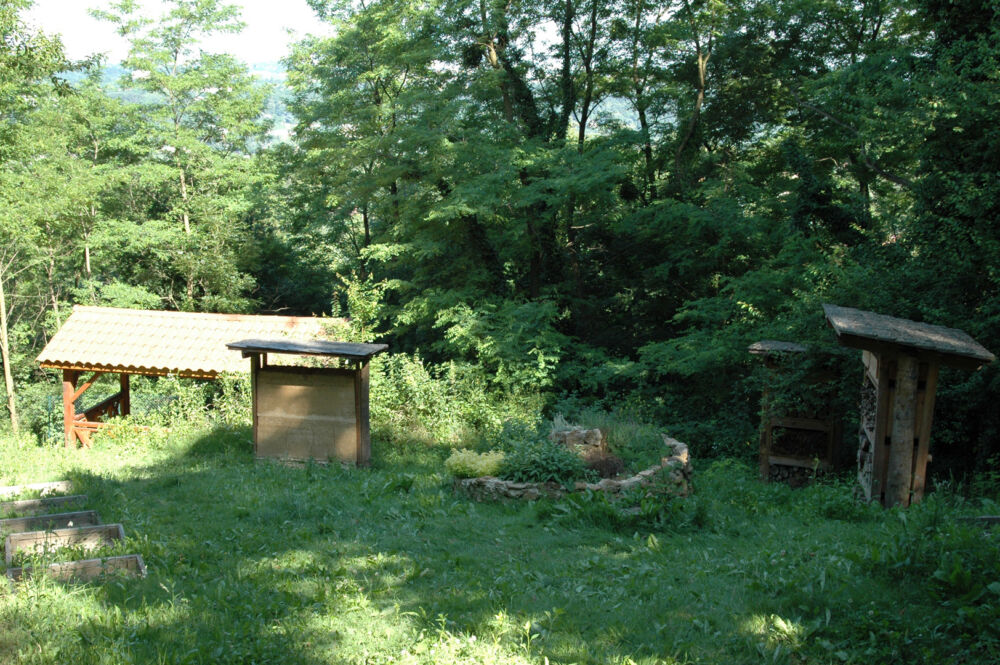 Un lieu de stockage de bois en pleine nature, vue du haut.