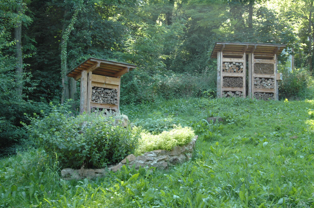 Un lieu de stockage de bois en pleine nature, vue du bas.