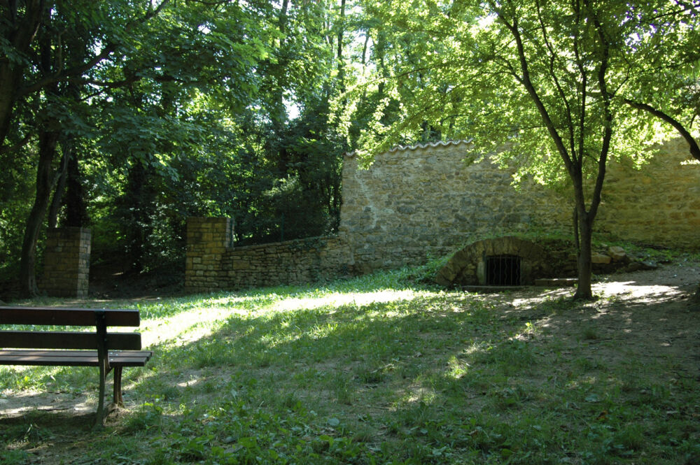 Un espace pour se reposer sur un banc au milieu de la végétation après des randonnées.