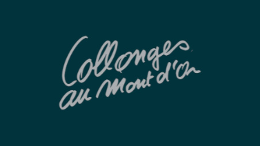 Logo Collonges et Vous