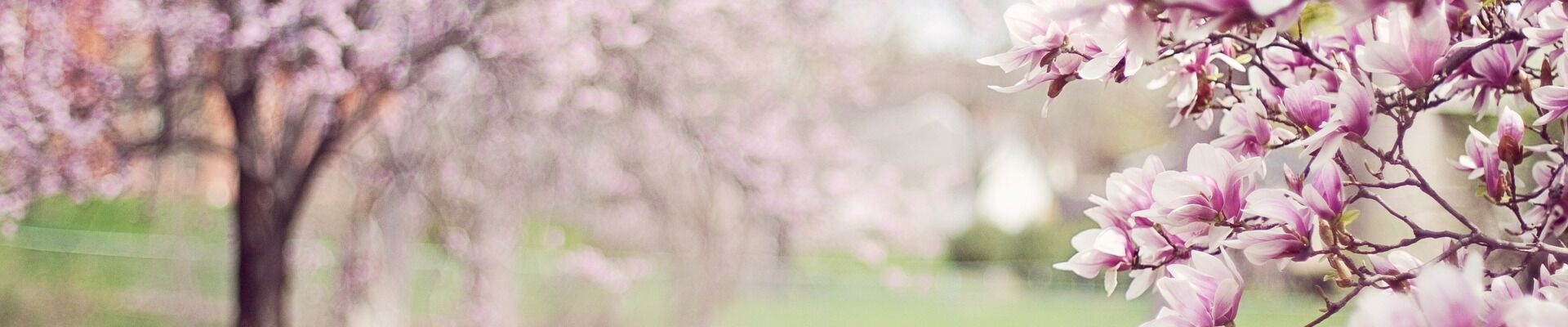 Printemps