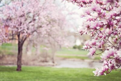 Printemps