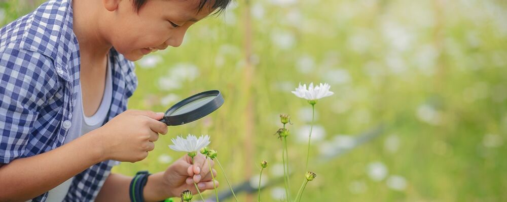 dans un champ, un enfant avec une chemise à carreaux regarde une fleur à l'aide d'une loupe comme s'il enquêtait ou faisait une étude scientifique