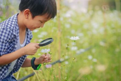 dans un champ, un enfant avec une chemise à carreaux regarde une fleur à l'aide d'une loupe comme s'il enquêtait ou faisait une étude scientifique