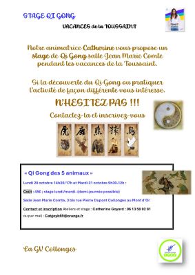 affiche stage de Qi-Gong