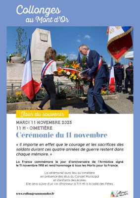 affiche cérémonie du 11 novembre